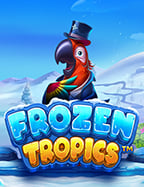 เชี่ยวชาญการ ดู เว็บ สล็อต อย่างมือโปร